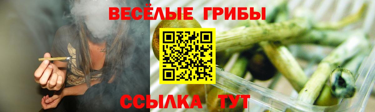Псилоцибиновые грибы Magic Shrooms  Псилоцибиновые грибы Psilocybine cubensis  Ижевск  Вход с VPN 